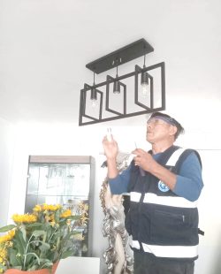 electricidad-1